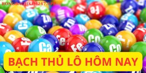 Bạch thủ lô hôm nay
